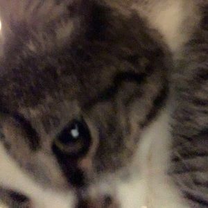 Meet your Posher, Giuliana